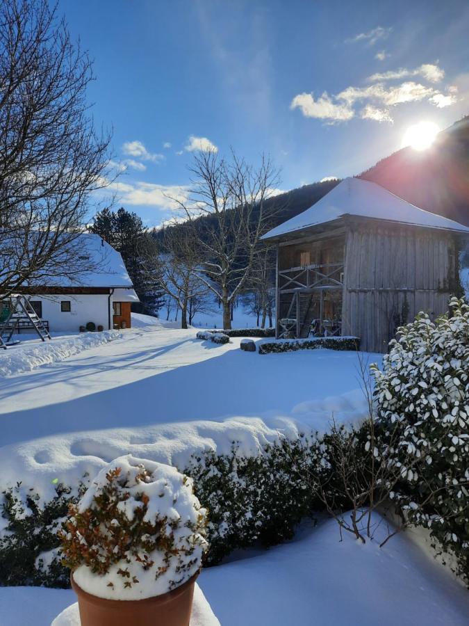 Attwengerhof Lägenhet Traunkirchen Exteriör bild