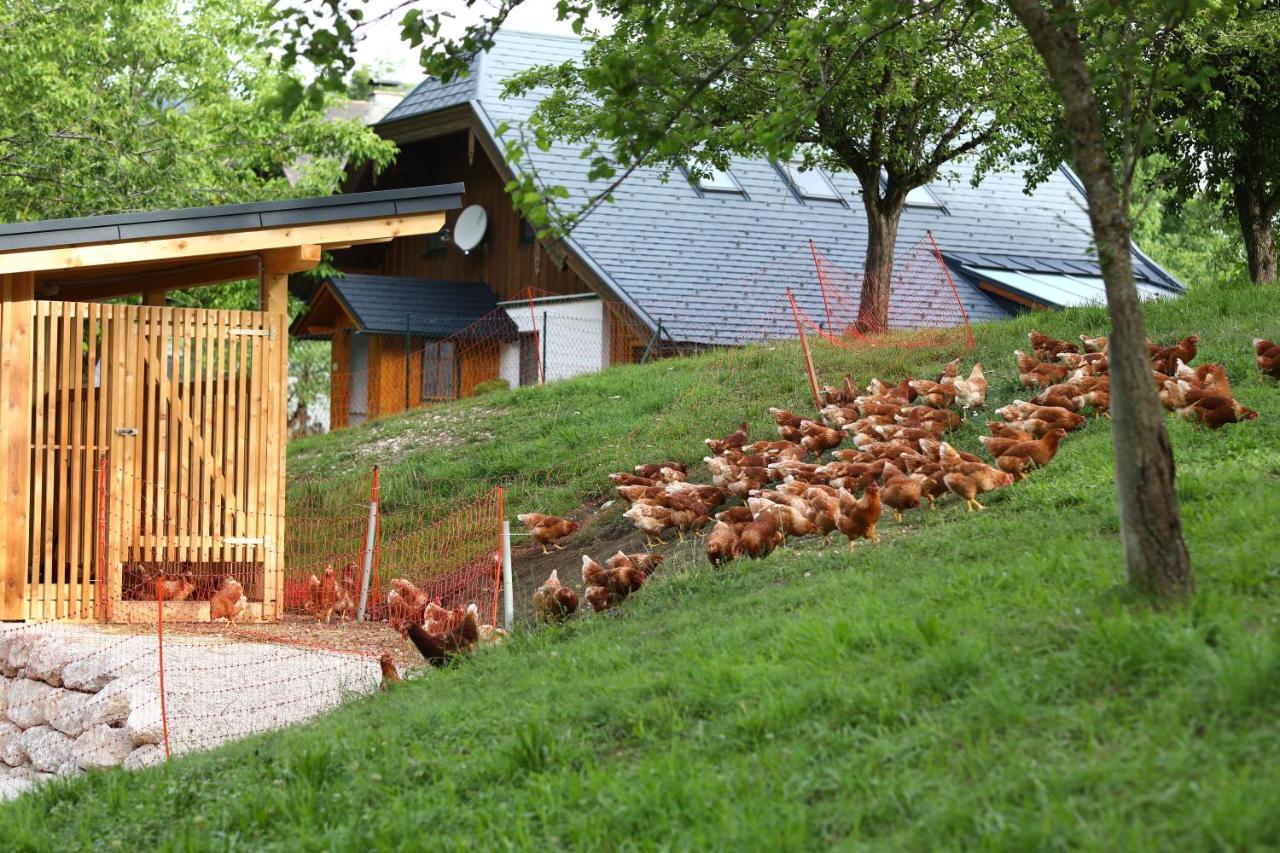 Attwengerhof Lägenhet Traunkirchen Exteriör bild