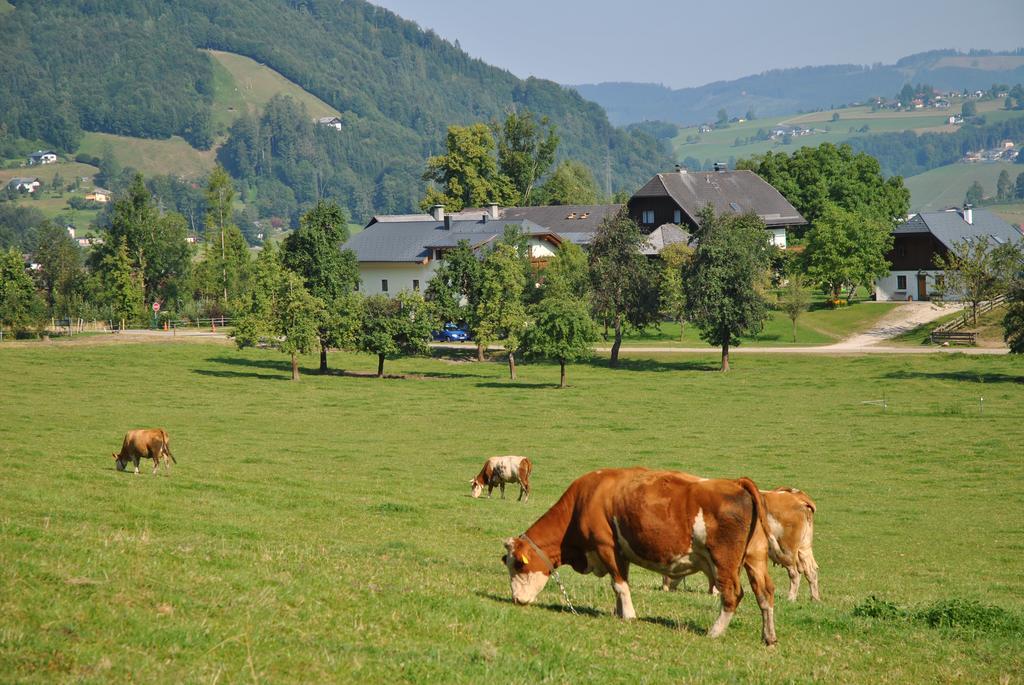 Attwengerhof Lägenhet Traunkirchen Exteriör bild